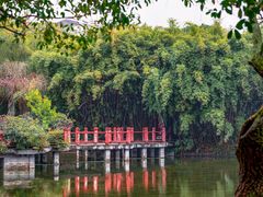 -棠湖公园