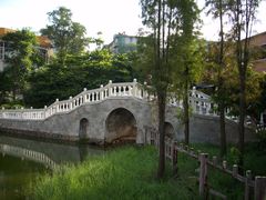 -中山大学学者灵芝(园南路店)