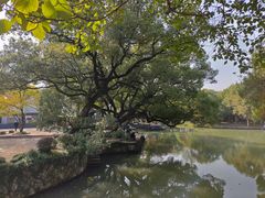 -西溪国家湿地公园