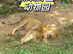 -深圳野生动物园