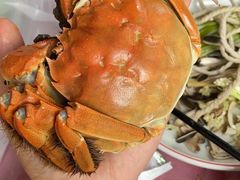 -丫丫蟹庄·苏式园林农家乐·阳澄湖大闸蟹(阳澄湖莲花岛店)