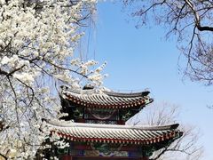 -颐和园
