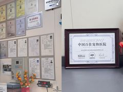 -美联众合爱康动物医院•复杂内科•肿瘤科•牙科•腔镜诊疗中心