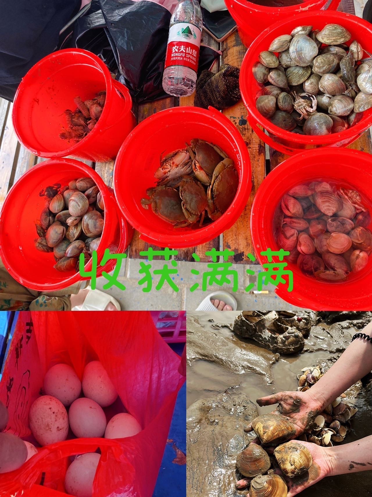 https://qcloud.dpfile.com/pc/7Y65Aiuy8mOPkDq6gp7Wn9bUhdy7o-2w7cAnZkail5wTgWoQC3lx41-z8FaXP2OkY0q73sB2DyQcgmKUxZFQtw.jpg