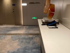 -深圳国际会展中心希尔顿酒店(前海华发冰雪世界店)