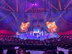 -珠海横琴长隆《卡卡虎奇遇记》