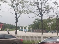 -东莞植物园