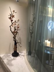 -康颜SPA自然疗愈皮肤管理中心