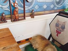 -猫小院猫主题餐厅(南锣旗舰店)