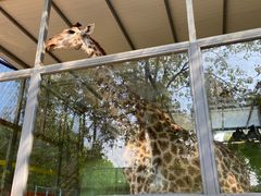 -荆州中山公园动物园