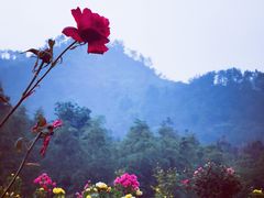 -黄陂区野村谷景区