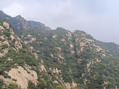 -大岭沟猕猴桃谷风景区