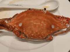 -东方红海鲜百汇(国际大厦店)