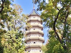 -灵谷景区