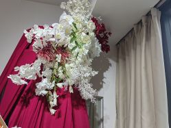 -ST时柒·问题肌抗衰美颜所