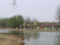 -泰丰公园