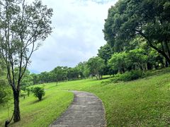 -福建鲤鱼洲酒店