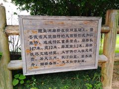 -福建鲤鱼洲酒店