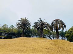 -美兰湖景区