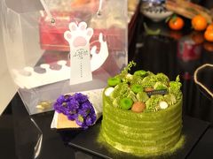 宇治抹茶小雏菊-小苍兰风铃草·礼物蛋糕(沈阳店)