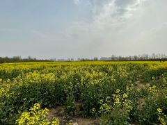 -汉长安城未央宫国家考古遗址公园