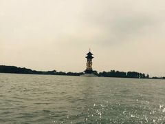 -溱湖国家湿地公园