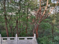 -青龙山国家森林公园