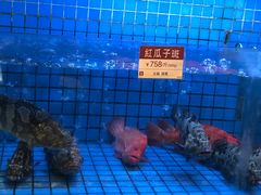 -协成海鲜火锅(情侣路店)