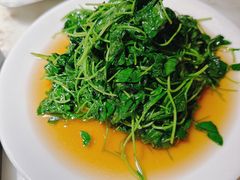 -佬肥猫·浙江乡村菜(国华广场店)