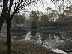 -北坞公园