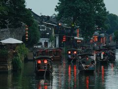 -魏铭鱼头捞饭(晋阳路店)