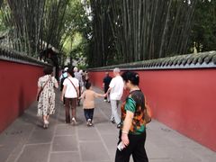 -陈麻婆豆腐(旗舰店)