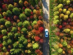 -合肥滨湖国家森林公园