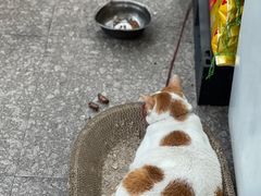 -容里煲仔饭(利丰北路店)