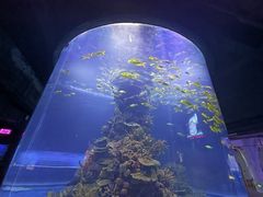 -海合安武汉极地海洋公园