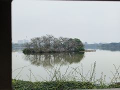 -海珠湖公园