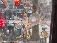 -新花城蟹粉馆(乌鲁木齐店)