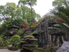 -南山植物园
