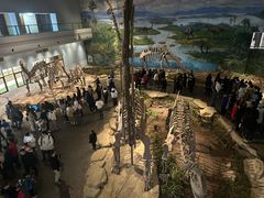 -自贡恐龙博物馆