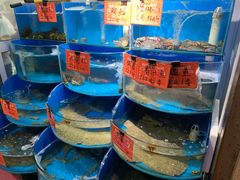 -北戴河庆山饭店·海鲜砂锅粥(北戴河黑石路店)
