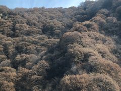 -少华山国家森林公园