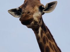 -鄂尔多斯野生动物园