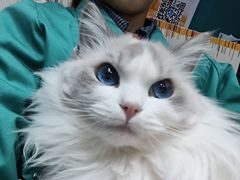 -心仪动物医院·牙专科·肿瘤·心脏科(西客站院)