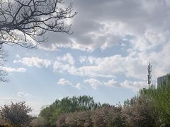 -元大都城垣遗址公园