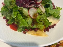沙拉拌菜-大鸭梨烤鸭(房山店)