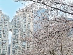 -西北湖绿化广场