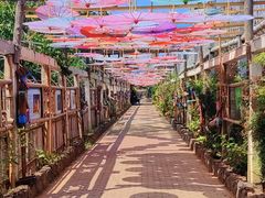-呀路古热带植物园