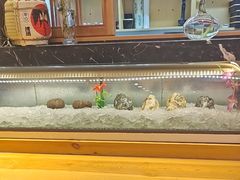 -万鱼亭 日本料理(无锡香山名园店)