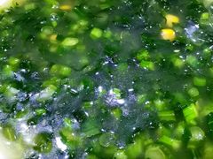 青菜钵钵-易老妈蹄花.特色川菜(人民公园总店)