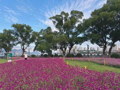 -江心屿景区